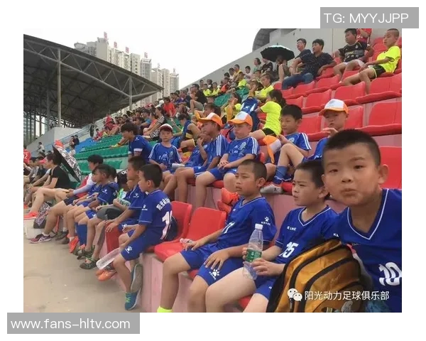 必杀足球txt带你领略足球的激情与梦想，重燃热爱与奋斗的心灵之旅